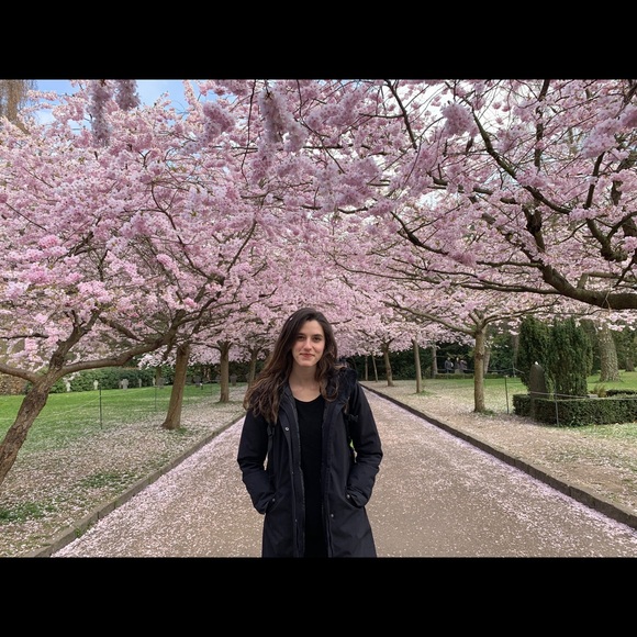 Meet your Posher, Avery - Picture 2 of 2